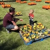 New Song On Old Perkins Road Pumpkin Patch photo