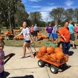 New Song On Old Perkins Road Pumpkin Patch photo