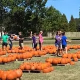 New Song On Old Perkins Road Pumpkin Patch photo