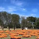 New Song On Old Perkins Road Pumpkin Patch photo
