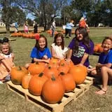 New Song On Old Perkins Road Pumpkin Patch photo