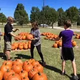 New Song On Old Perkins Road Pumpkin Patch photo