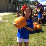 New Song On Old Perkins Road Pumpkin Patch photo