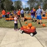New Song On Old Perkins Road Pumpkin Patch photo
