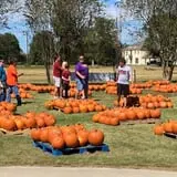 New Song On Old Perkins Road Pumpkin Patch photo