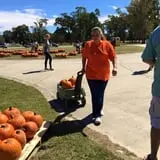 New Song On Old Perkins Road Pumpkin Patch photo