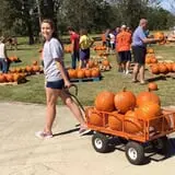New Song On Old Perkins Road Pumpkin Patch photo