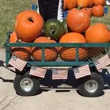 New Song On Old Perkins Road Pumpkin Patch photo