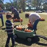 New Song On Old Perkins Road Pumpkin Patch photo