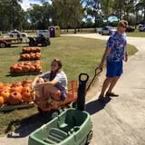 New Song On Old Perkins Road Pumpkin Patch photo