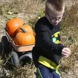 Broom Orchard Pumpkin Festival photo