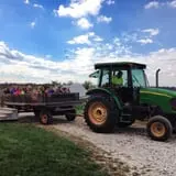 Broom Orchard Pumpkin Festival photo