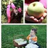 Broom Orchard Pumpkin Festival photo