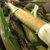 Broom Orchard Pumpkin Festival photo