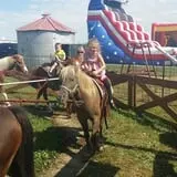 Broom Orchard Pumpkin Festival photo