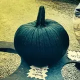 Broom Orchard Pumpkin Festival photo