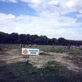Broom Orchard Pumpkin Festival photo