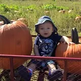 Broom Orchard Pumpkin Festival photo