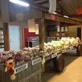 Broom Orchard Pumpkin Festival photo