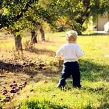 Broom Orchard Pumpkin Festival photo