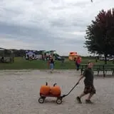 Broom Orchard Pumpkin Festival photo