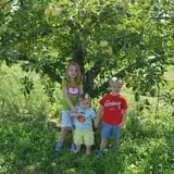 Broom Orchard Pumpkin Festival photo