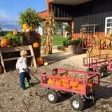 Lohstroh Family Farms photo