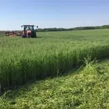 Lohstroh Family Farms photo