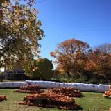 Lohstroh Family Farms photo