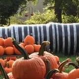 Lohstroh Family Farms photo