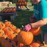 Lohstroh Family Farms photo