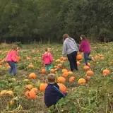 Lohstroh Family Farms photo