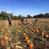 Lohstroh Family Farms photo