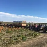 Lohstroh Family Farms photo