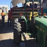 Lohstroh Family Farms photo