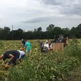 Lohstroh Family Farms photo