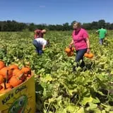 Lohstroh Family Farms photo
