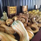 Lohstroh Family Farms photo