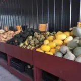 Lohstroh Family Farms photo