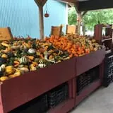 Lohstroh Family Farms photo