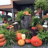 Lohstroh Family Farms photo