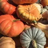 Lohstroh Family Farms photo