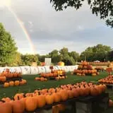 Lohstroh Family Farms photo