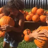 Lohstroh Family Farms photo