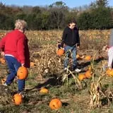 Lohstroh Family Farms photo