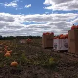 Lohstroh Family Farms photo