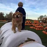 Lohstroh Family Farms photo