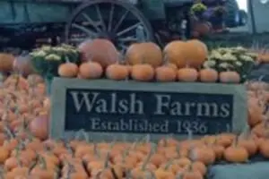 Walsh Farms