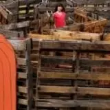 Evergreen Farms Pumpkin Hunt photo