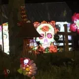 Halloween on S.Lime photo